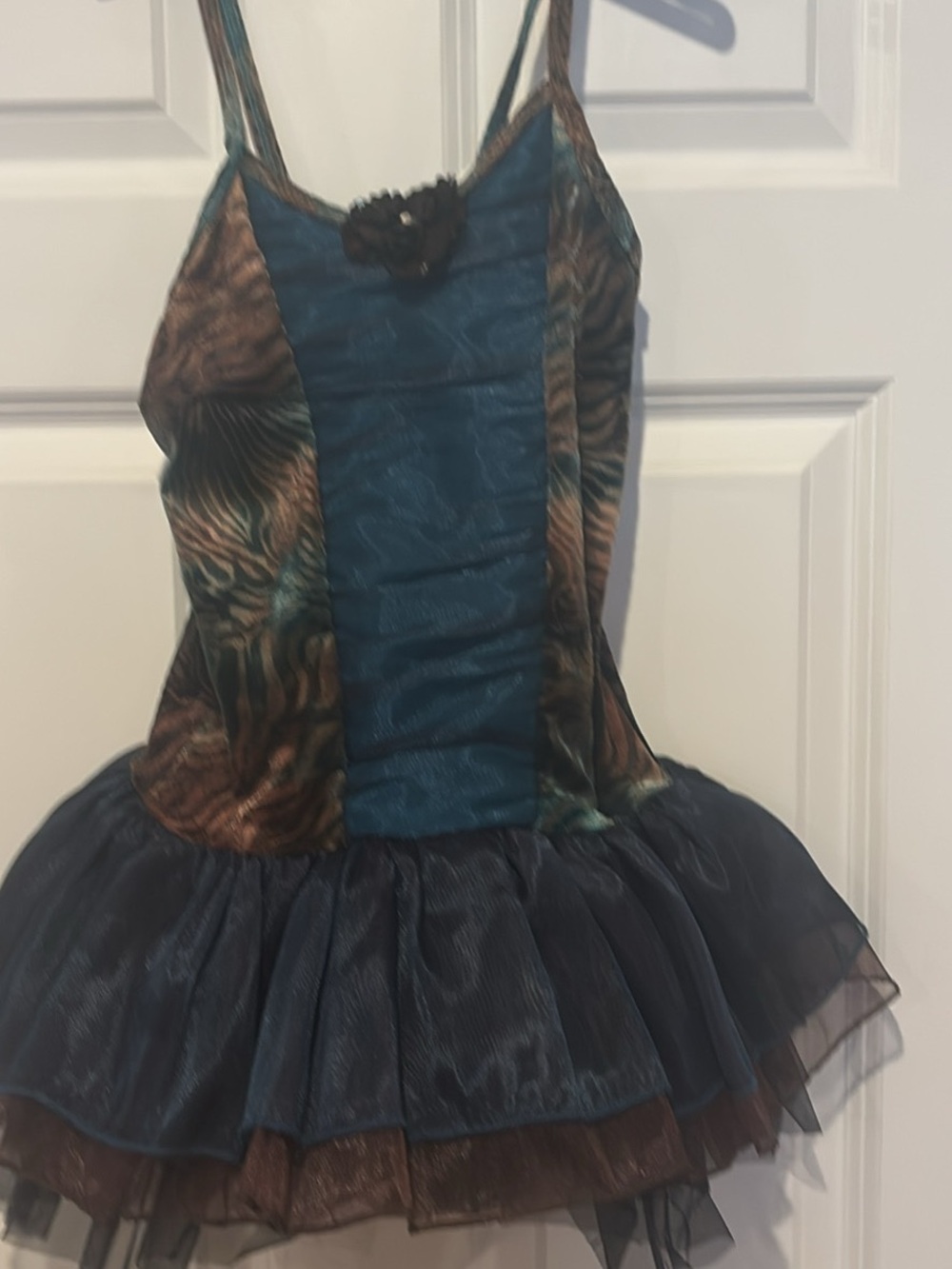 Blue and Brown Girls' Tutu Costume Dress